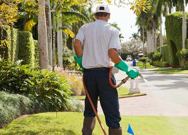 About Thayer IA Pest Control